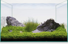 KAQ20 Aquascape Basic - Kit