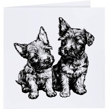 'Cute Scottish Terrier