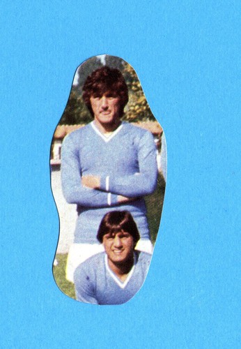 Calciatori panini - calciatori,
