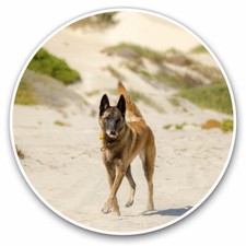 2 adesivi in vinile 20 cm - pastore belga Malinois cane regalo cool #3093