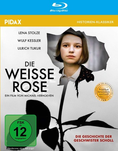 Die weisse rose - rose, /