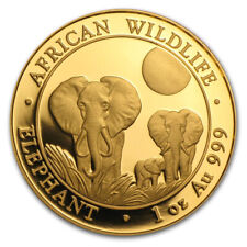 2014 Somalia Elefante 1 oz