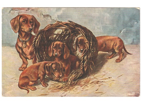 Antica cartolina mamma - antica,