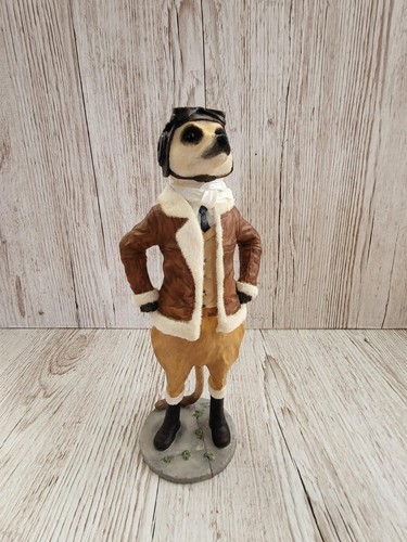 Country artists meerkat pilot - country,