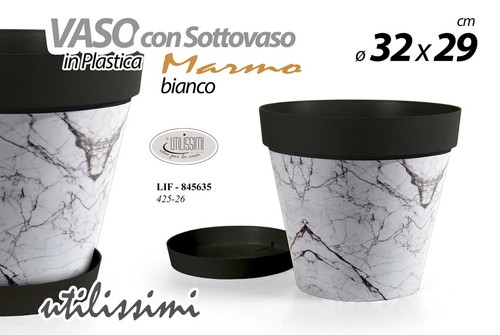 Vaso piante grasse fiori semi - vaso,
