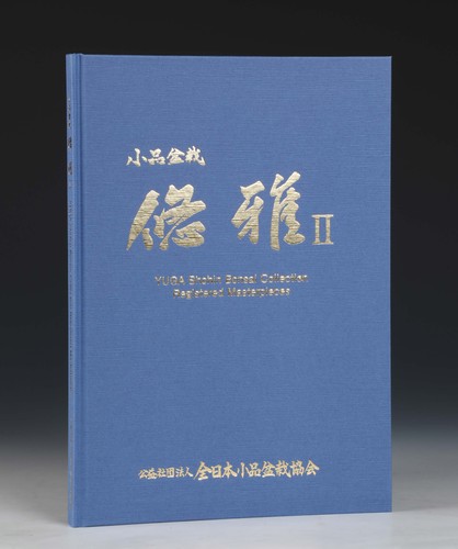 Yuga shohin bonsai - yuga, 2