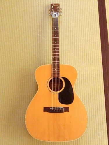 Kiso suzuki famous f100 - kiso,