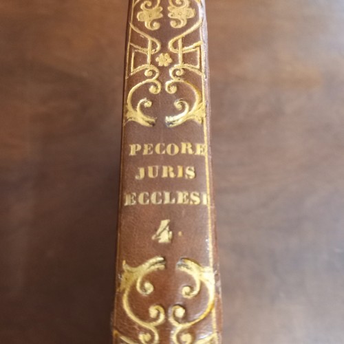 Libro raro juris ecclesiastici - libro,