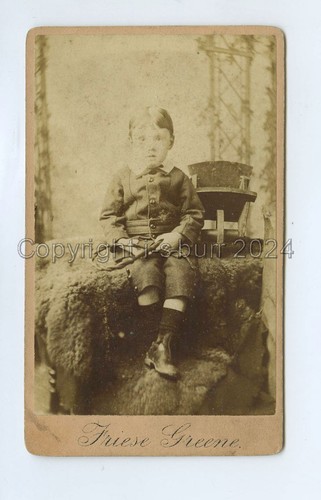 Boy toy wheelbarrow - boy,