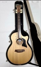 Chitarra elettrica acustica