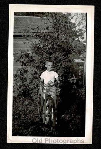 Cestino faro bici bambino - faro,