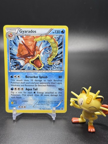 Gyarados xy109 pokemon - gyarados, xy