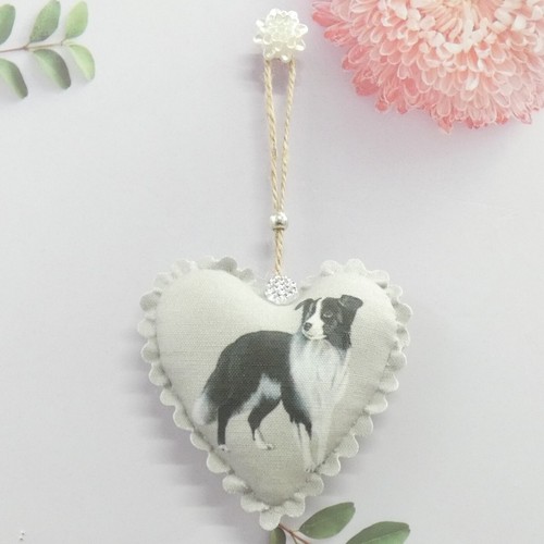 Border collie cane shabby chic - collie,