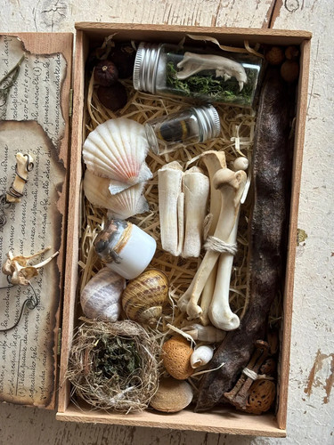 Scatola sigari vintage con - scatola,