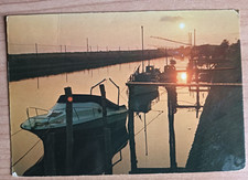 CARTOLINA 1981 ITALIA RAVENNA CASAL BORSETTI TRAMONTO ITALY POSTCARD