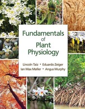 Fundamentals of Plant