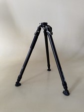 YC Onion PINETA Peak Carbon