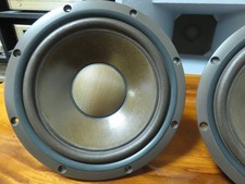Coppia Woofer 12 Pollici