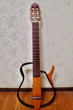 Chitarra elettrica acustica