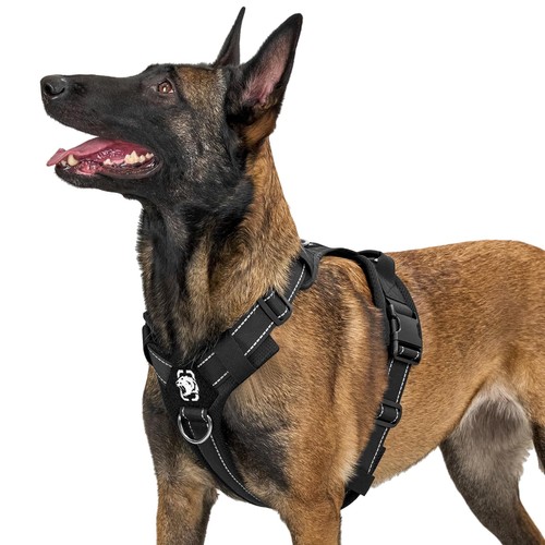 Imbracatura per cani - imbracatura,