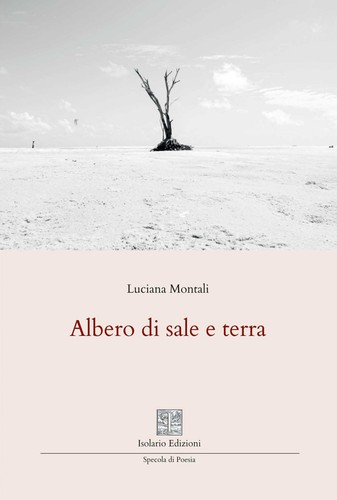 Albero sale terra - e,