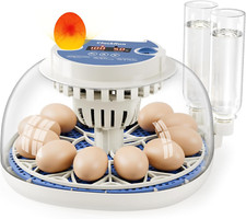 Incubadora de Huevos