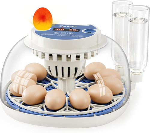 Incubadora huevos - de,