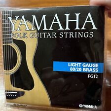 Nuovo set corde chitarra folk