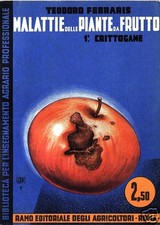 MANUALETTO 1934 FRUIT PLANT