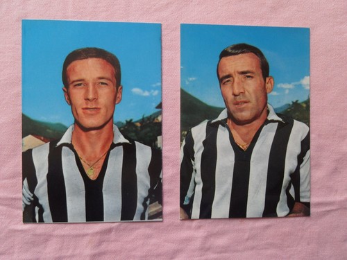 Foto cartolina 1966 - 2,