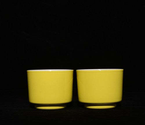 Coppia tazze porcellana