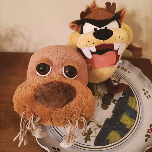 Tricheco ocean buddies - tricheco,