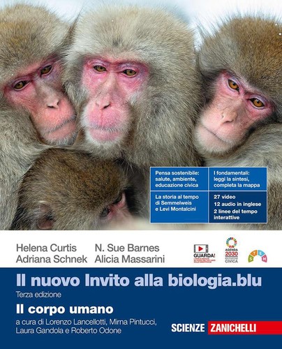 Libro nuovo invito - -, il