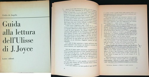 Guida alla lettura - alla, dell'ulisse