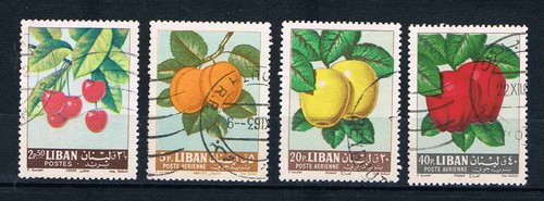 Libano frutta mela - frutta:,
