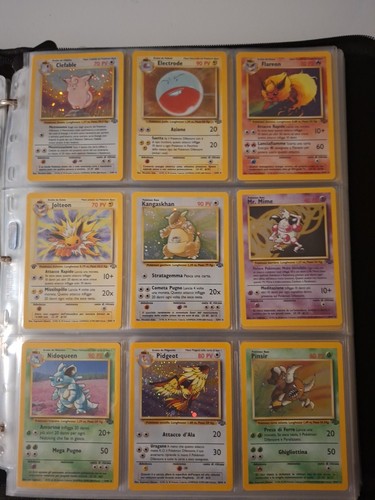 Set jungle completo - jungle,