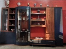 Mobile per il soggiorno usato, colore marrone e blu