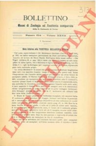 Salvadori tommaso nota - salvadori,