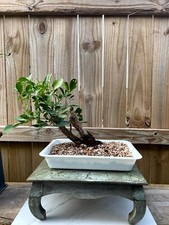 AWESOME! Beautiful Mountain