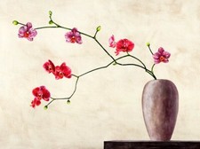 Quadro Vaso con Fiori Stampa