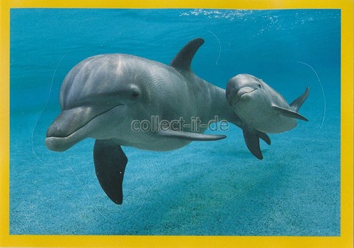 Panini national geographic - panini,