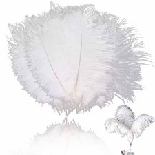 30 Pezzi Piume Di Struzzo