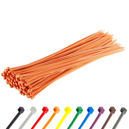 100 fascette plastica - 100,