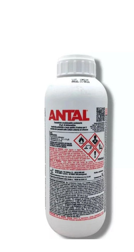 Antal equivalente decis evo - antal,