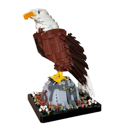 Bald eagle flying birds - bald,