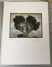 RARE KARL LAGERFELD LIMITED EDITION DAGUERREOTYPE PRINT - SIGNED AND NUMBERED 