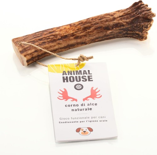 Animal house corna alce per - house,