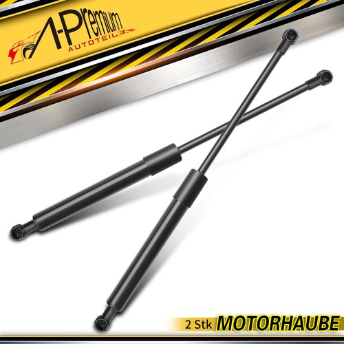 Gas cofano ammortizzatore - 2x,