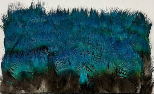 Piume collo pavone - blu, super