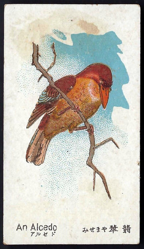 Kimura animals birds an - -, &